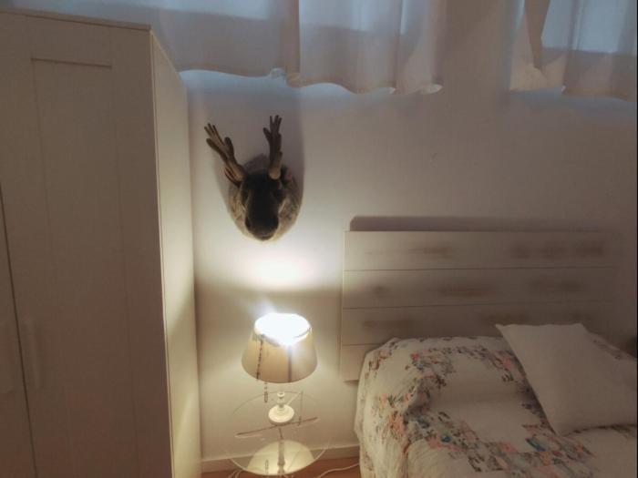 El Alma De Apartamento